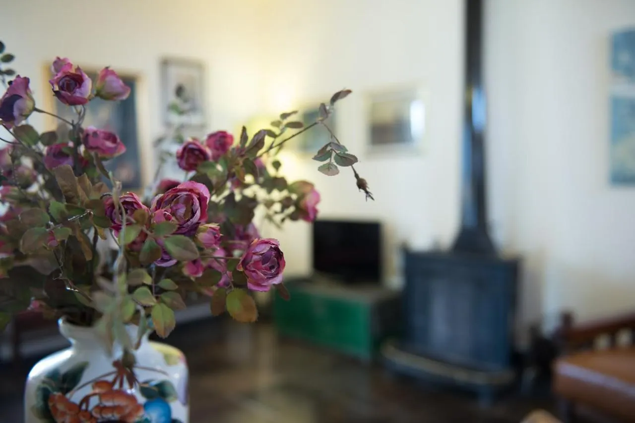 Holiday home Holiday Villa Gelso - Ragusa